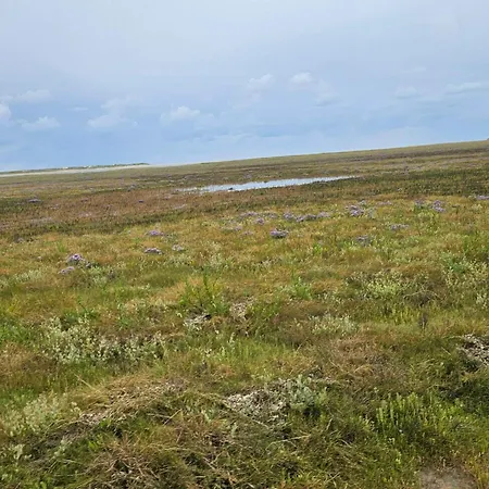 Vakantiehuis 6 Person In Romo